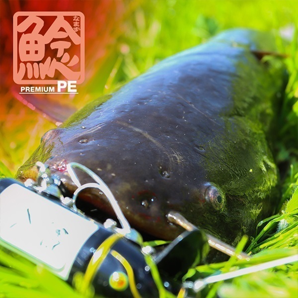 鯰(なまず)プレミアムPE